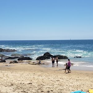 Meet your Posher, Lolo